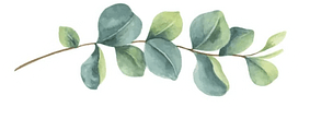 edit-edit-Watercolor-Eucalyptus-clipart-4